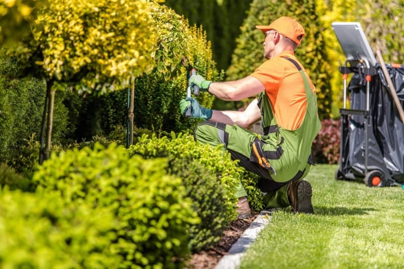 Jardineiro podando arbustos em um jardim
